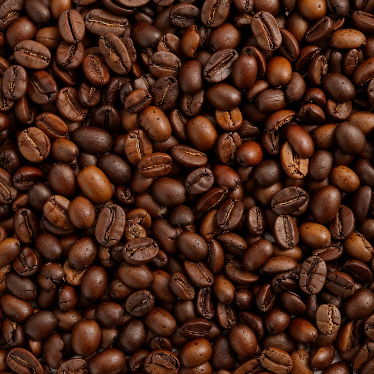 Guinea Flores Filter Coffee-thumbmail-3