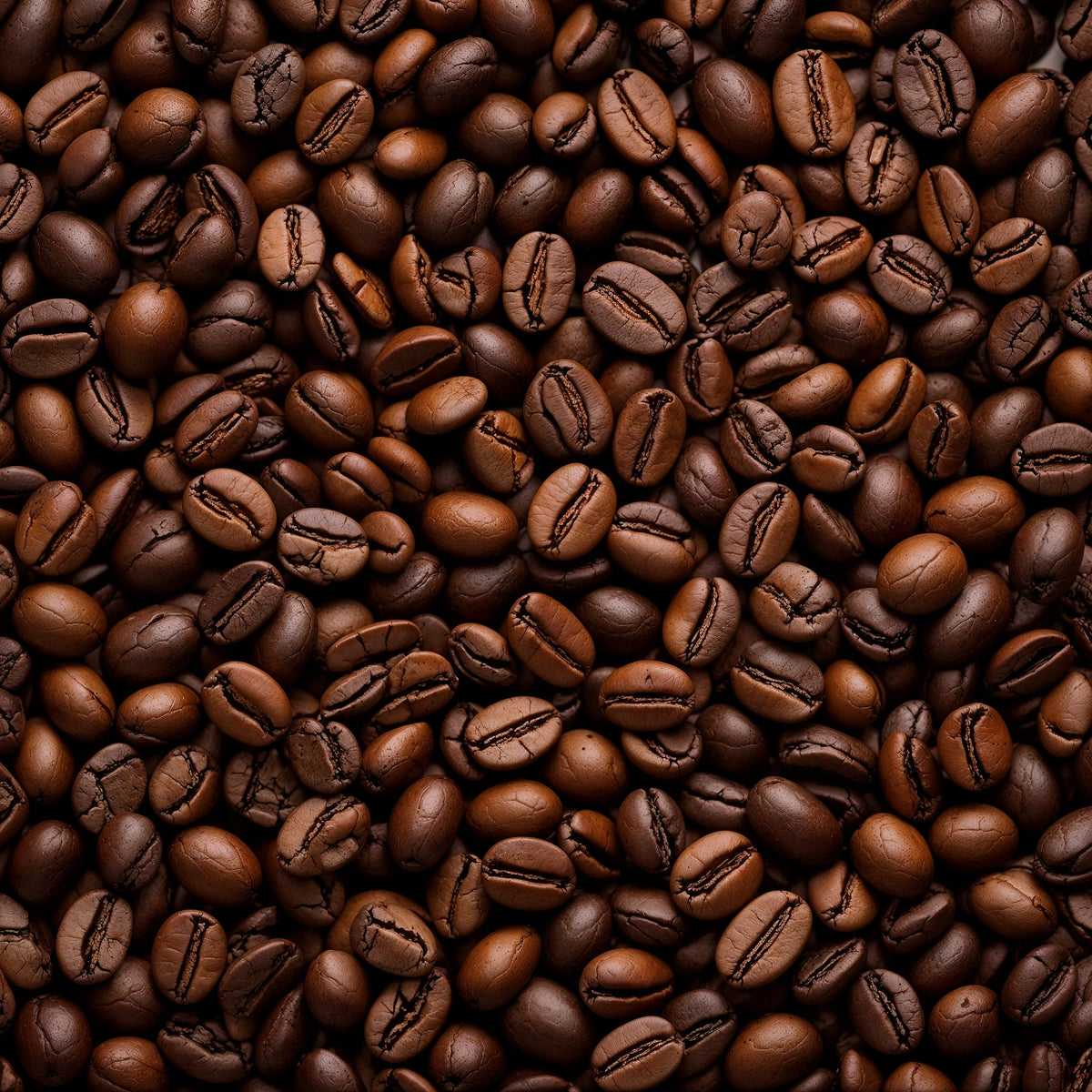 Chicchi di caffè Burundi Bochesa-thumbmail-3