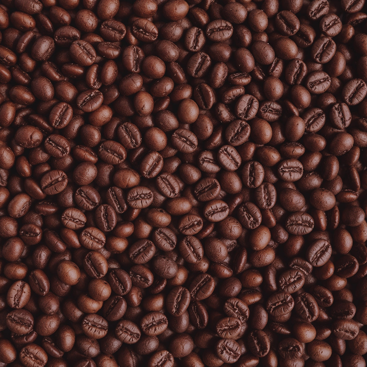 Ecuador Ganamo Coffee Beans-thumbmail-3